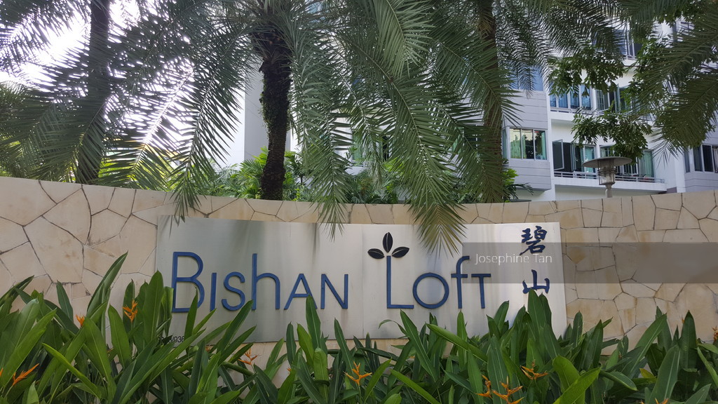 Bishan Loft (D20), Condominium #148434422